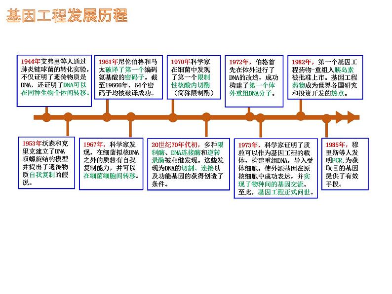 3.1.1 重组DNA技术的基本工具（理论基础） 课件【新教材】 人教版（2019）高二生物选择性必修三02