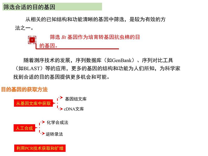 3.2.1 基因工程的基本操作程序 课件【新教材】 人教版（2019）高二生物选择性必修三07