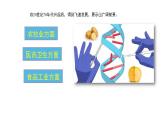 3.3 基因工程的应用 课件【新教材】  人教版（2019）高二生物选择性必修三
