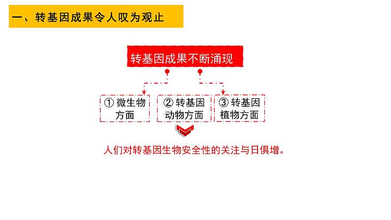 4.1 转基因产品的安全性 课件【新教材】  人教版（2019）高二生物选择性必修三03