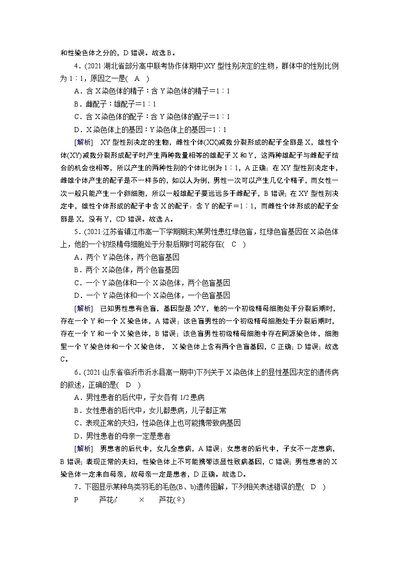 伴性遗传PPT课件免费下载02