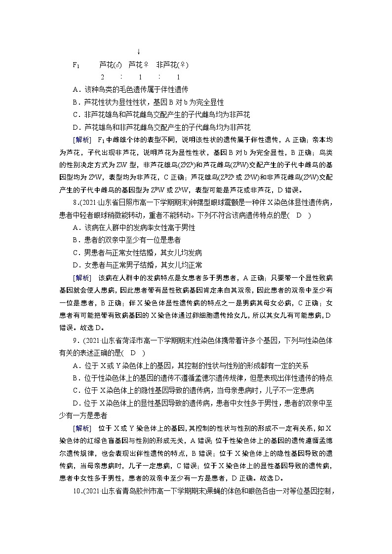 伴性遗传PPT课件免费下载03