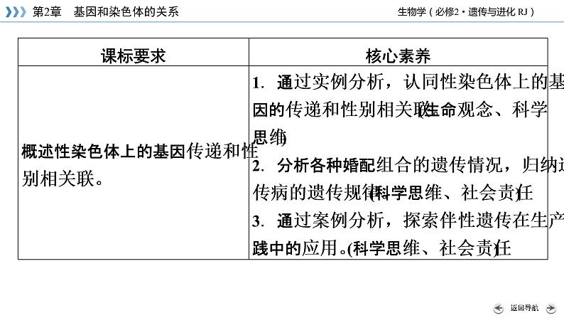 伴性遗传PPT课件免费下载04