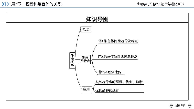 伴性遗传PPT课件免费下载05