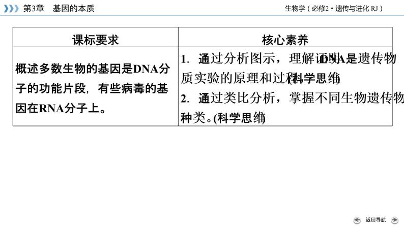 DNA是主要的遗传物质PPT课件免费下载04