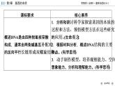 DNA的结构PPT课件免费下载