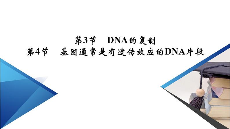 DNA的复制PPT课件免费下载02