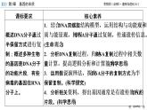 DNA的复制PPT课件免费下载