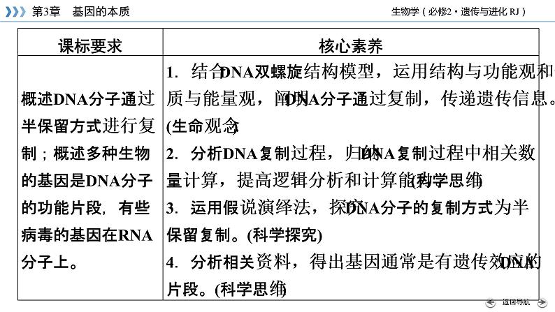 DNA的复制PPT课件免费下载04