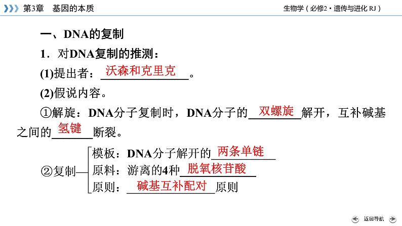 DNA的复制PPT课件免费下载08