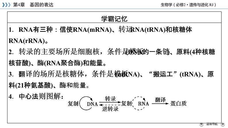 人教版 生物 必修2 第4章 第1节 基因指导蛋白质的合成 PPT课件+练习06