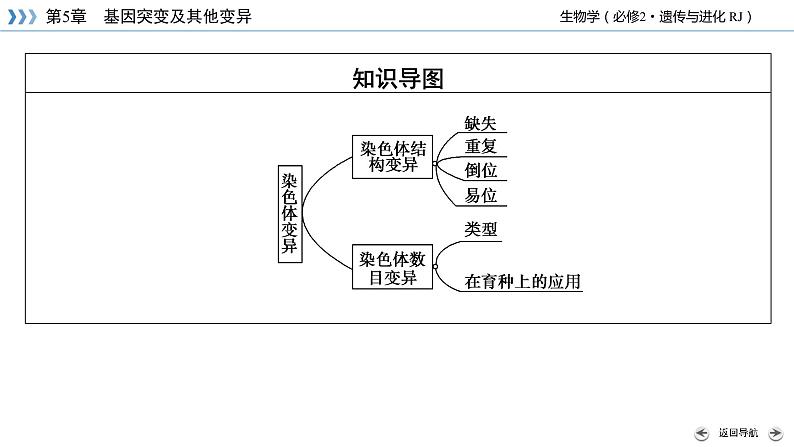 人教版 生物 必修2 第5章 第2节 染色体变异 PPT课件+练习05