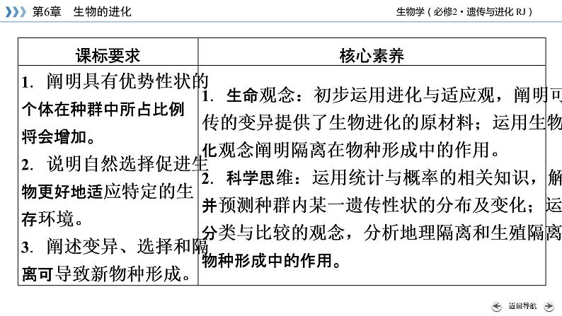 种群基因组成的变化PPT课件免费下载04