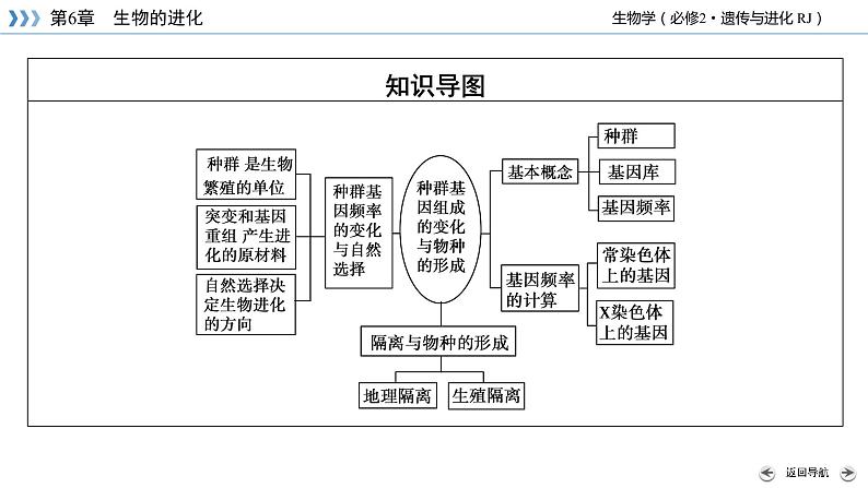 种群基因组成的变化PPT课件免费下载05