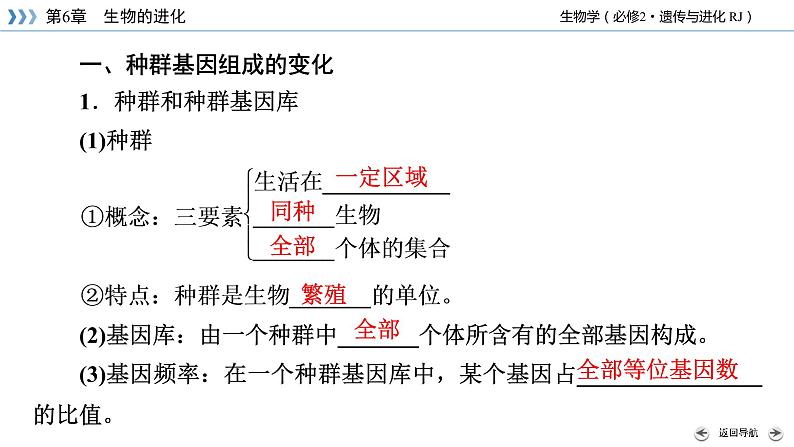 种群基因组成的变化PPT课件免费下载08