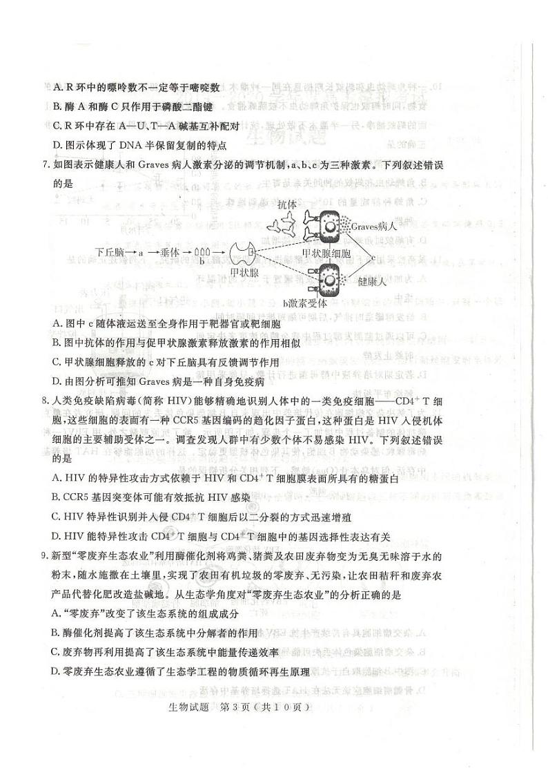 山东省济宁市2020届高三高考模拟考试（6月二模）生物试题含答案第3页