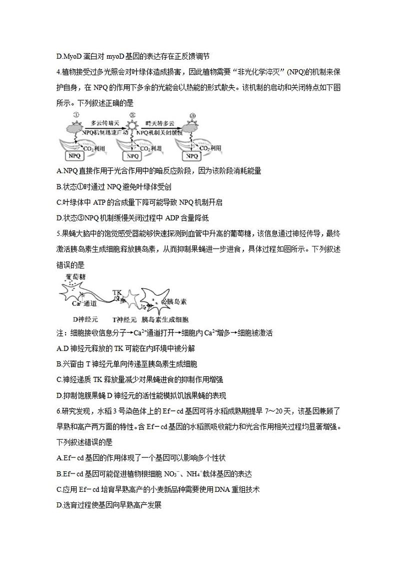 山东省济宁市2021届高三下学期5月第二次模拟考试生物试题含答案第2页