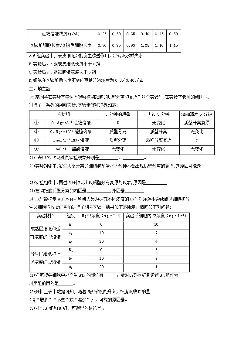 新教材高考生物一轮复习第二单元细胞的基本结构和物质的运输第06讲细胞的物质输入和输出能力提升B卷含解析03