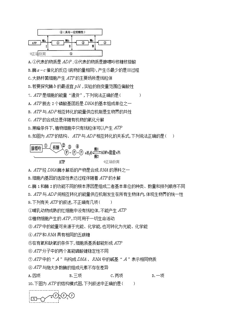 新教材高考生物一轮复习第三单元细胞的能量供应和利用第07讲酶和ATP第2课时能力提升B卷含解析第2页