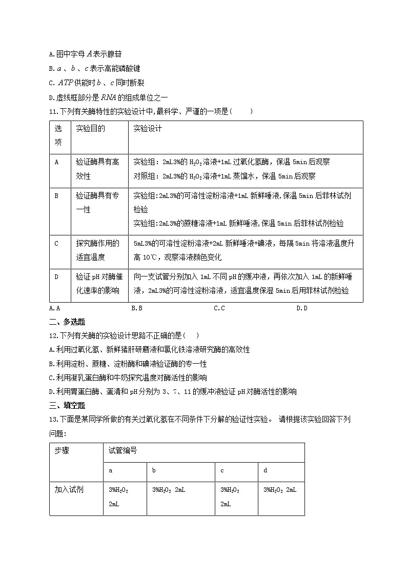 新教材高考生物一轮复习第三单元细胞的能量供应和利用第07讲酶和ATP第2课时能力提升B卷含解析第3页