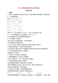 新教材高考生物一轮复习第五单元遗传的基本规律第16讲基因在染色体上及伴性遗传能力提升A卷含解析