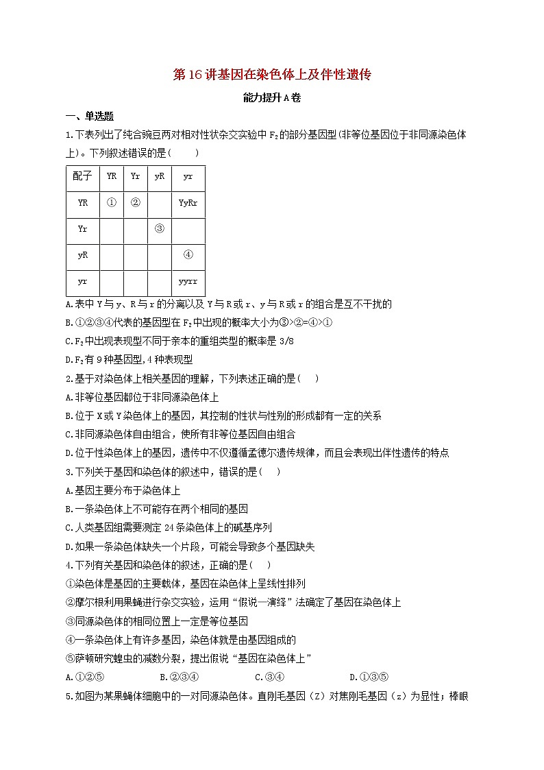 新教材高考生物一轮复习第五单元遗传的基本规律第16讲基因在染色体上及伴性遗传能力提升A卷含解析01