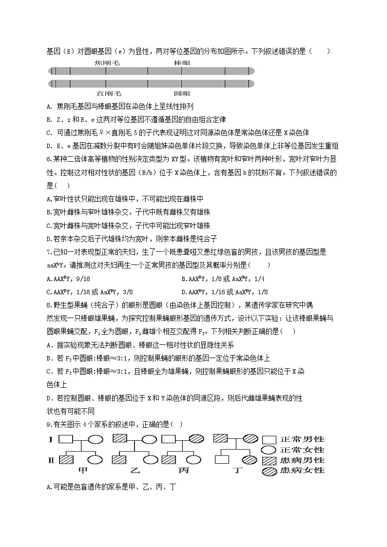 新教材高考生物一轮复习第五单元遗传的基本规律第16讲基因在染色体上及伴性遗传能力提升A卷含解析02