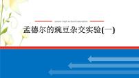 新教材高考生物一轮复习第一单元遗传的基本规律1孟德尔的豌豆杂交实验一课件必修2