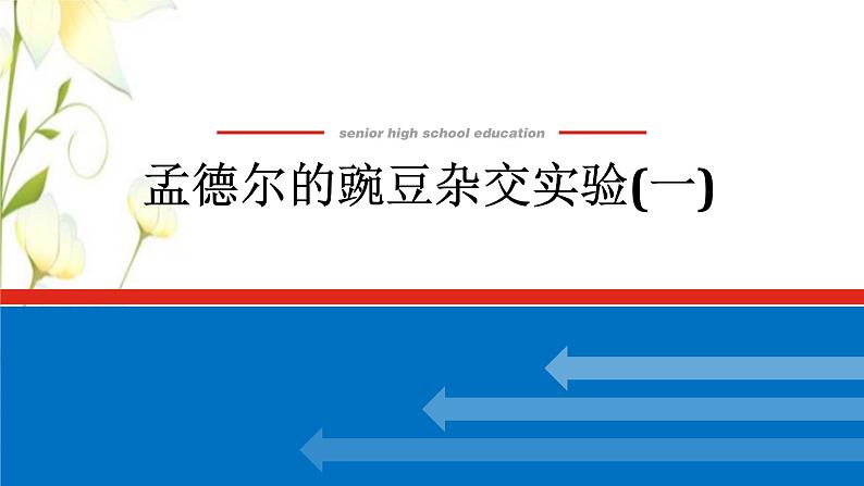 新教材高考生物一轮复习第一单元遗传的基本规律1孟德尔的豌豆杂交实验一课件必修201