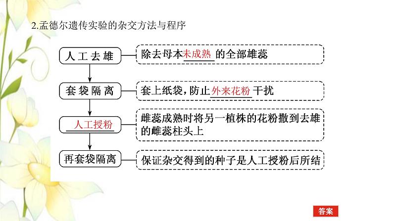 新教材高考生物一轮复习第一单元遗传的基本规律1孟德尔的豌豆杂交实验一课件必修205