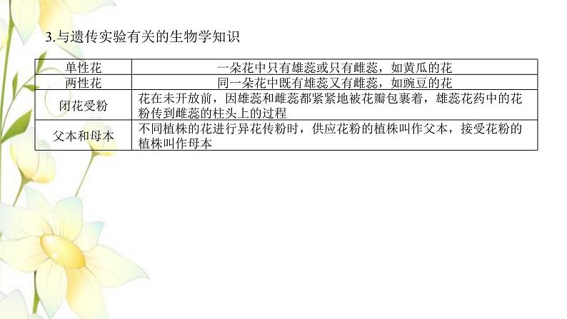 新教材高考生物一轮复习第一单元遗传的基本规律1孟德尔的豌豆杂交实验一课件必修206