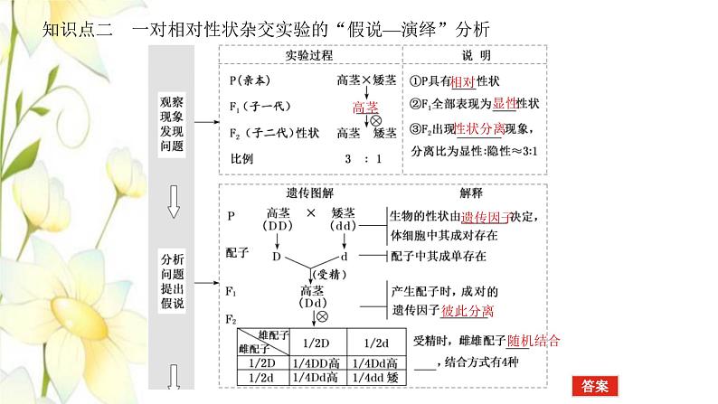 新教材高考生物一轮复习第一单元遗传的基本规律1孟德尔的豌豆杂交实验一课件必修207