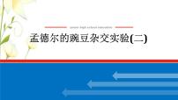 新教材高考生物一轮复习第一单元遗传的基本规律2孟德尔的豌豆杂交实验二课件必修2