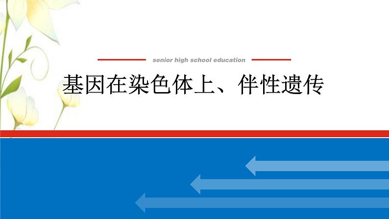 新教材高考生物一轮复习第一单元遗传的基本规律3基因在染色体上伴性遗传课件必修201