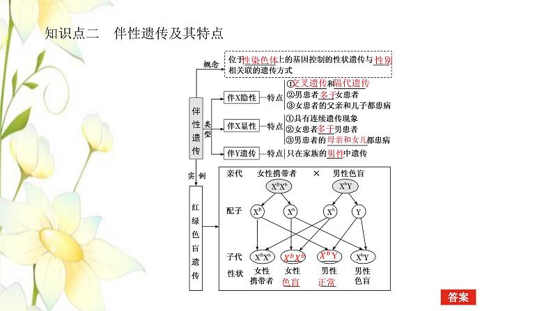 新教材高考生物一轮复习第一单元遗传的基本规律3基因在染色体上伴性遗传课件必修205