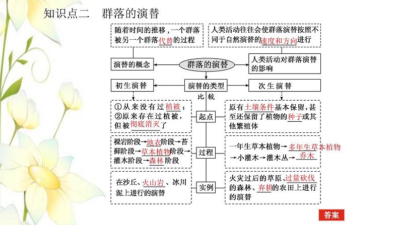 新教材高考生物一轮复习第一单元种群和群落2群落及其演替课件选择性必修207