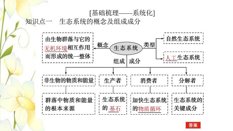 新教材高考生物一轮复习第二单元生态系统与环境保护1生态系统的结构课件选择性必修204