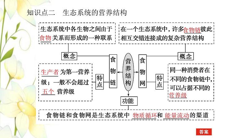 新教材高考生物一轮复习第二单元生态系统与环境保护1生态系统的结构课件选择性必修205