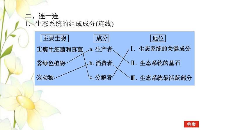 新教材高考生物一轮复习第二单元生态系统与环境保护1生态系统的结构课件选择性必修208