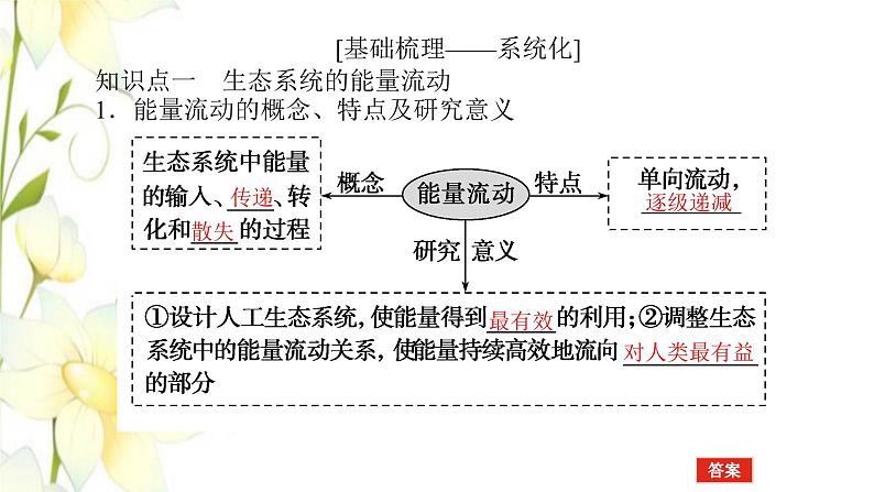 新教材高考生物一轮复习第二单元生态系统与环境保护2生态系统的功能课件选择性必修2第4页