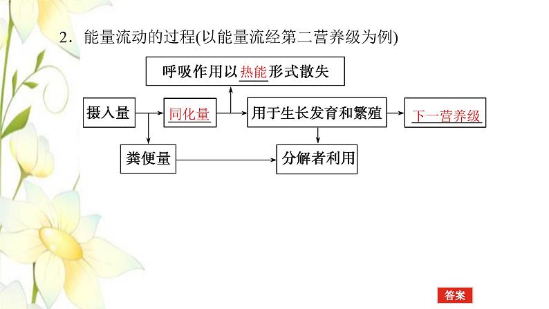 新教材高考生物一轮复习第二单元生态系统与环境保护2生态系统的功能课件选择性必修2第5页