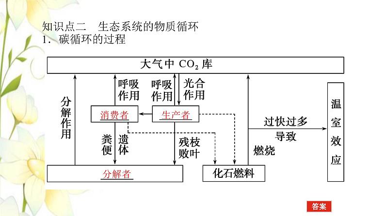 新教材高考生物一轮复习第二单元生态系统与环境保护2生态系统的功能课件选择性必修2第6页