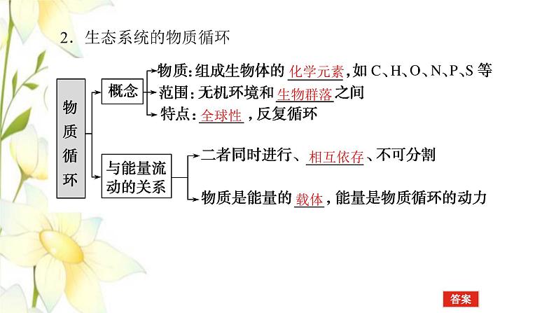 新教材高考生物一轮复习第二单元生态系统与环境保护2生态系统的功能课件选择性必修2第7页