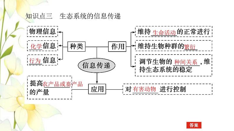 新教材高考生物一轮复习第二单元生态系统与环境保护2生态系统的功能课件选择性必修2第8页