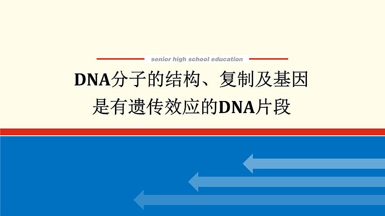 新教材高考生物一轮复习第二单元遗传的分子基础2DNA的结构复制及基因通常是有遗传效应的DNA片段课件必修201