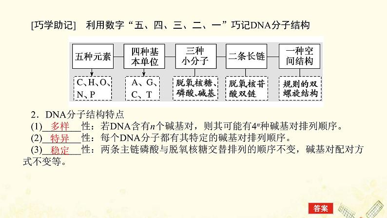 新教材高考生物一轮复习第二单元遗传的分子基础2DNA的结构复制及基因通常是有遗传效应的DNA片段课件必修206