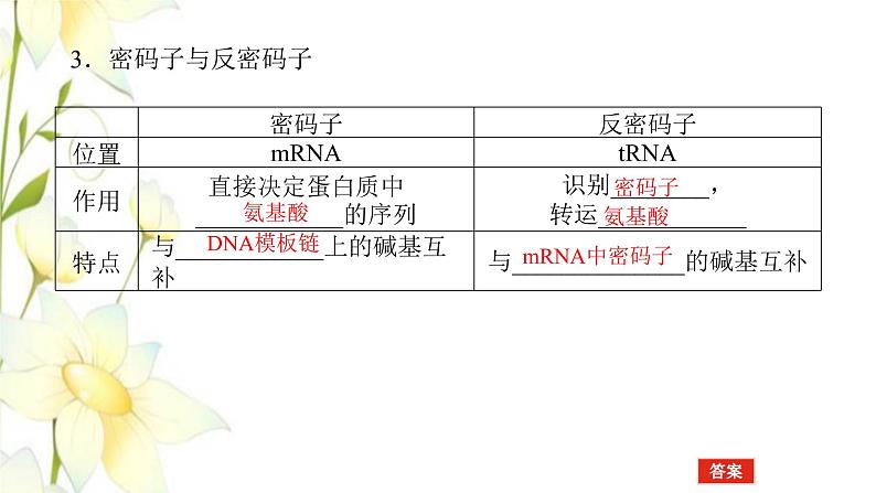 新教材高考生物一轮复习第二单元遗传的分子基础3基因控制蛋白质的合成及其与性状的关系课件必修2第8页