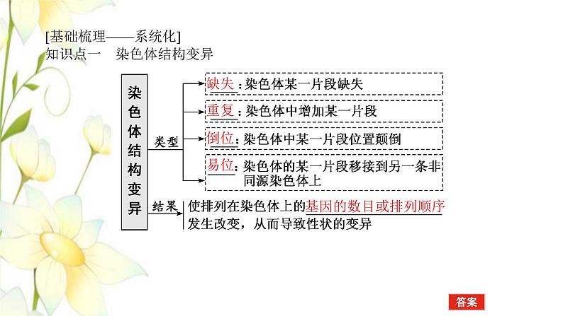 新教材高考生物一轮复习第三单元生物的变异育种与进化2染色体变异与育种课件必修204