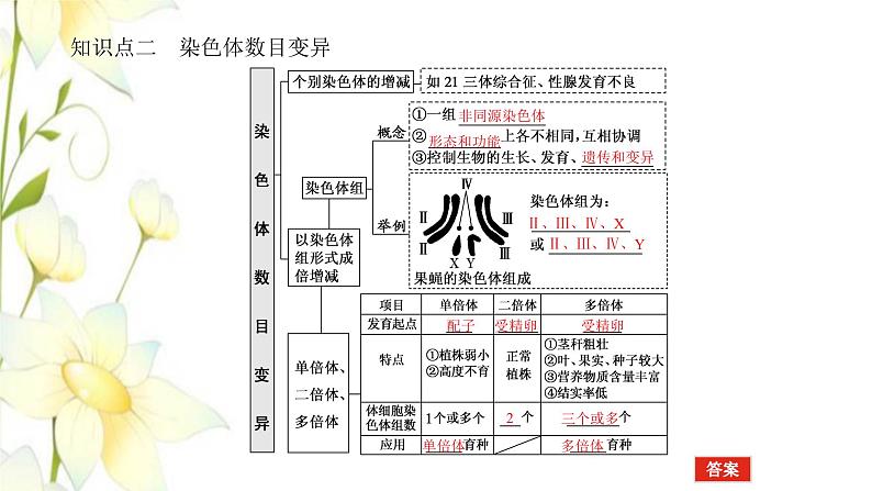 新教材高考生物一轮复习第三单元生物的变异育种与进化2染色体变异与育种课件必修205