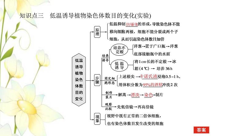 新教材高考生物一轮复习第三单元生物的变异育种与进化2染色体变异与育种课件必修206